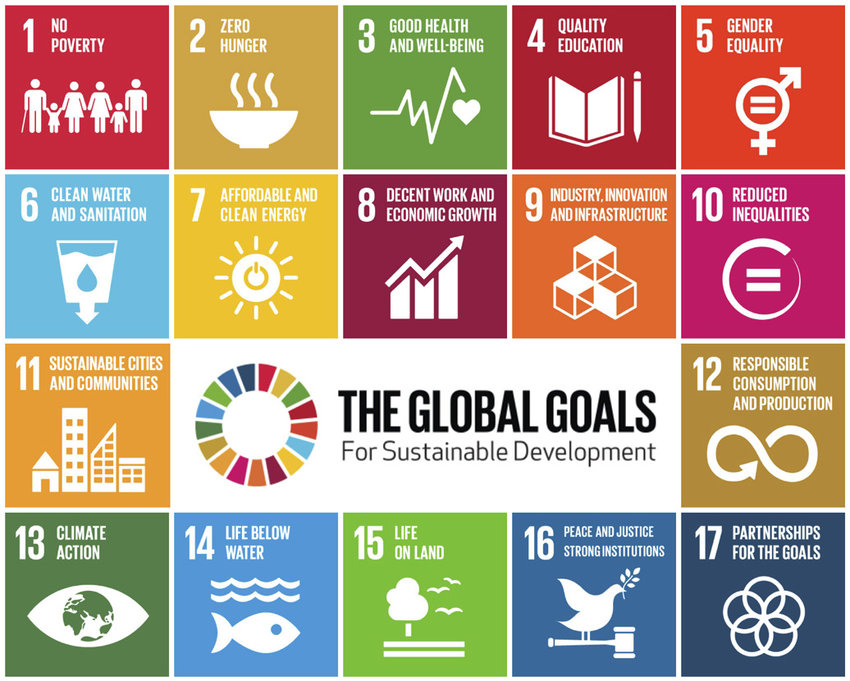 SDG goals